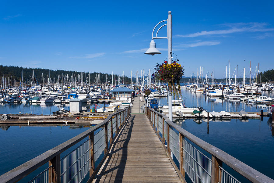 Busy Marina Photograph by Chandru Murugan - Fine Art America