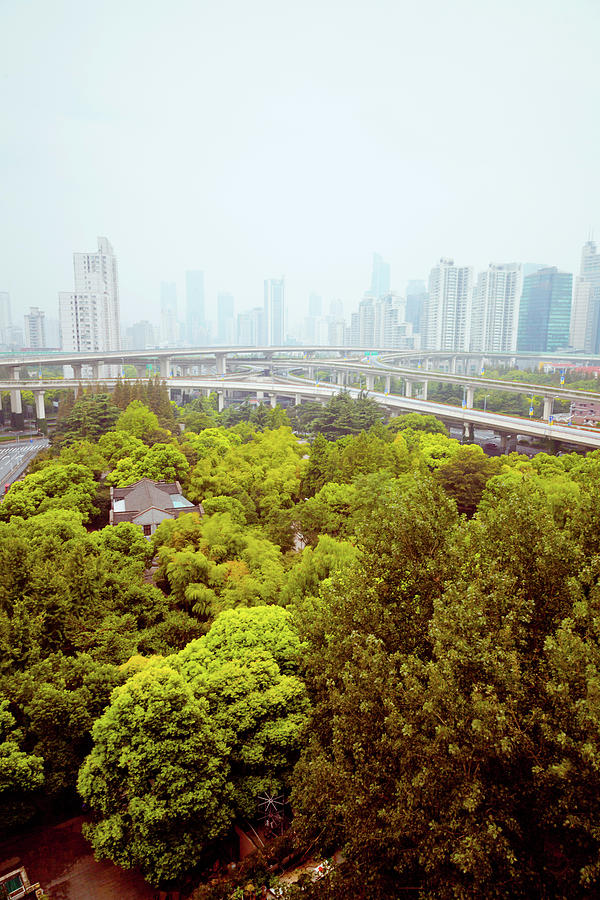 Busy Traffic Over Overpass In Modern Photograph by Pan Hong