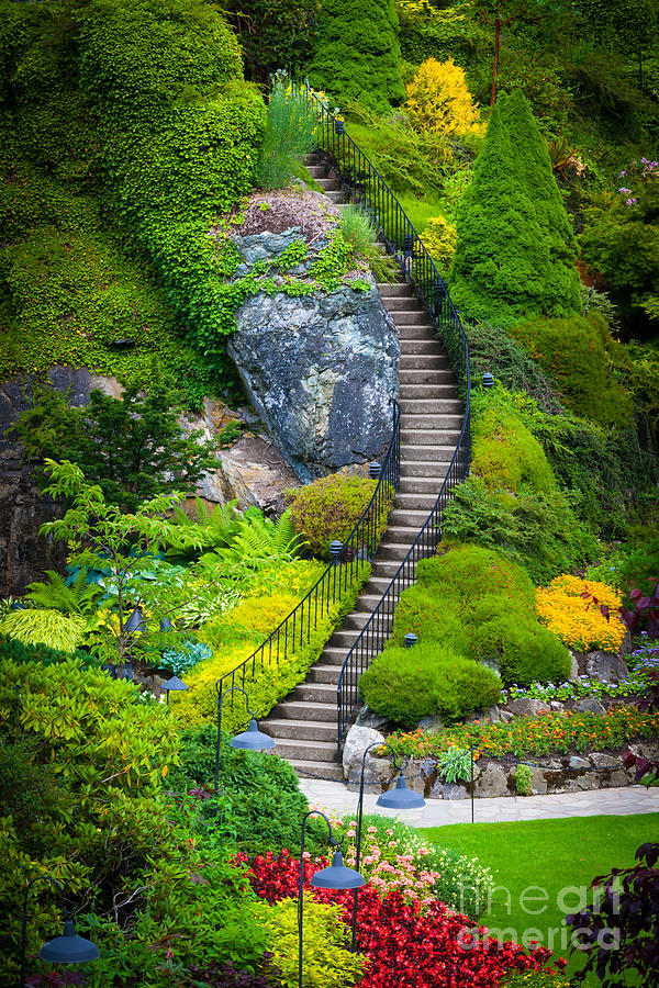 America Photograph - Butchart Gardens Stairs by Inge Johnsson