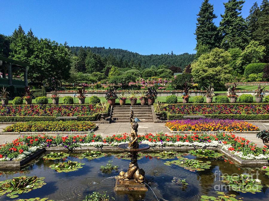 Butchart Gardens Photograph by William Wyckoff