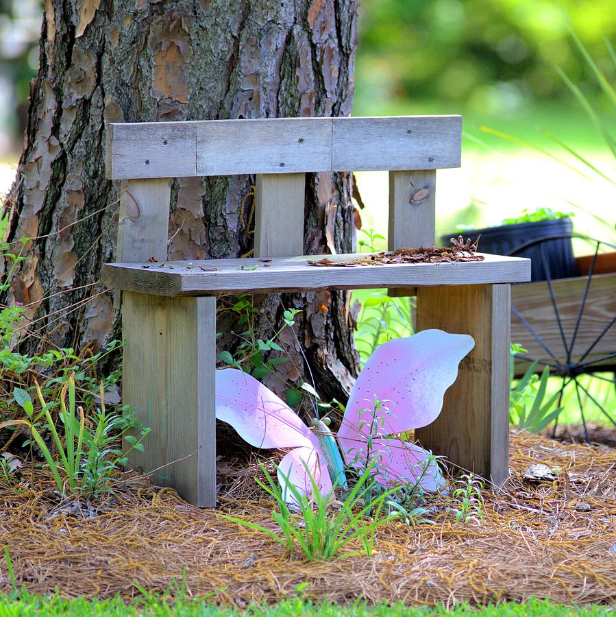 Buterfly Bench - Square Photograph by Gordon Elwell