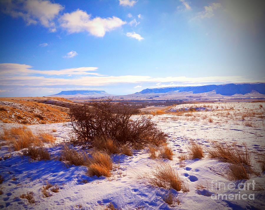Butte and Tumbleweed Photograph by Desiree Paquette