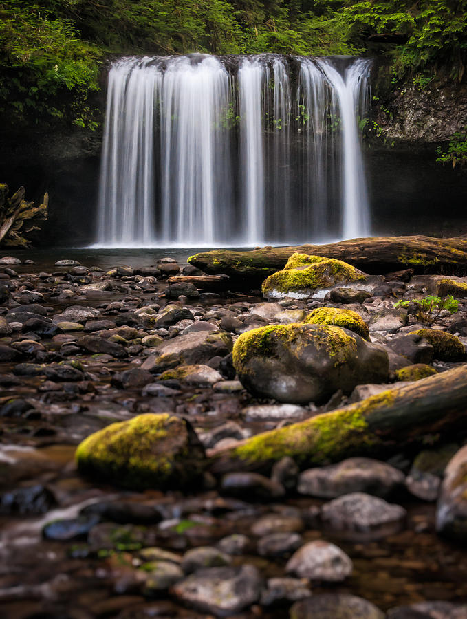 Butte Creek Falls Photograph by Brian Bonham
