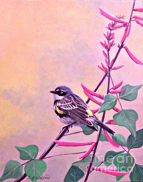 Butterbean - Myrtle Warbler And Coral Bean Flowers Painting