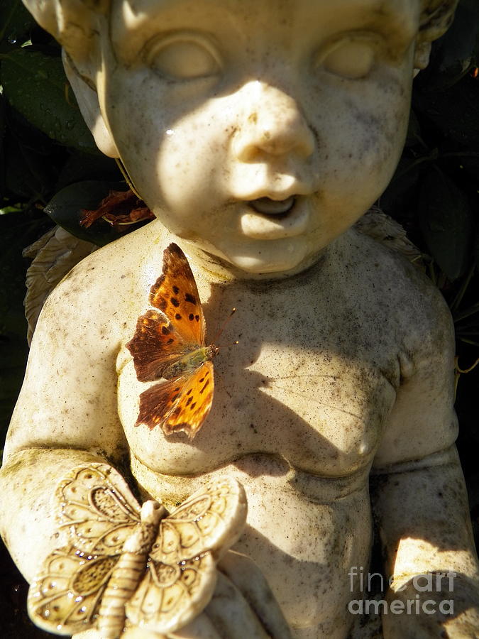 Butterflies and Cherub Photograph by Judy Via-Wolff
