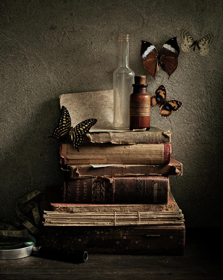 Butterflies And Old Books by Glasshouse Images