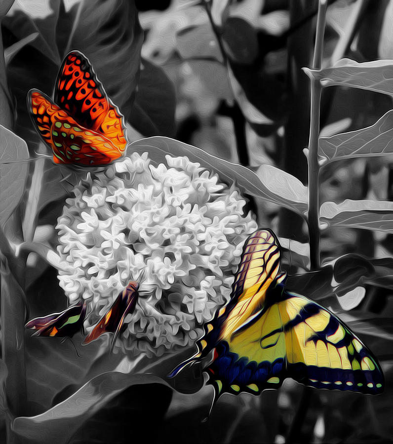 Butterflies at Rest Digital Art by Kelvin Booker
