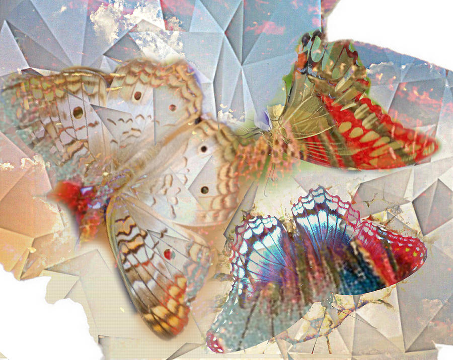 Butterflies Geometric 2 Digital Art by Lynda Payton