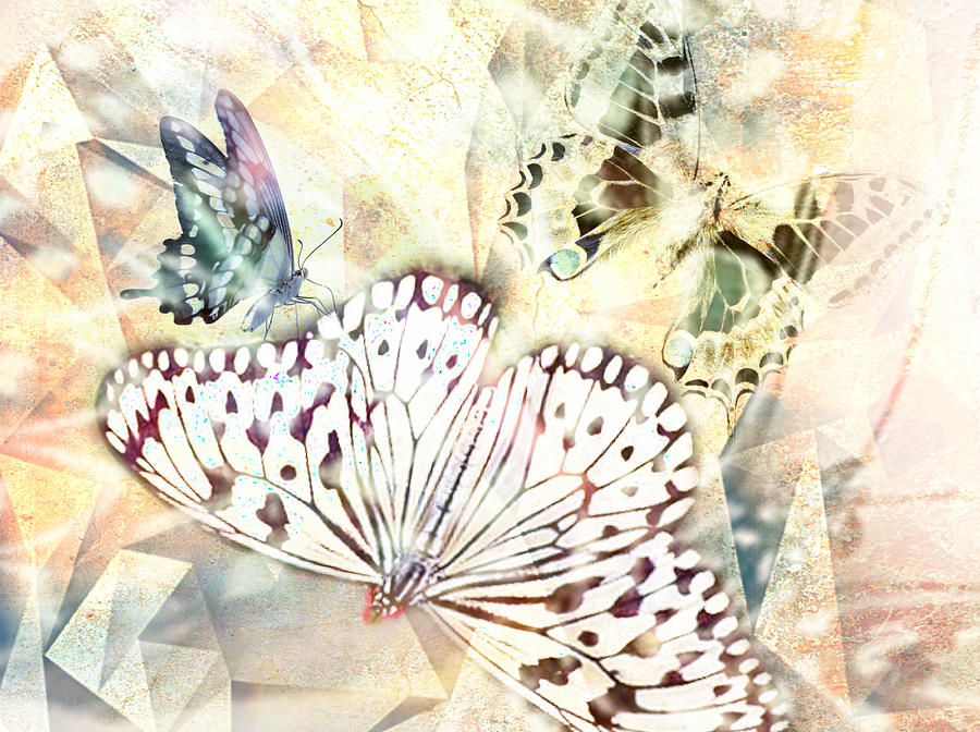 Butterflies Geometric 4 Digital Art by Lynda Payton