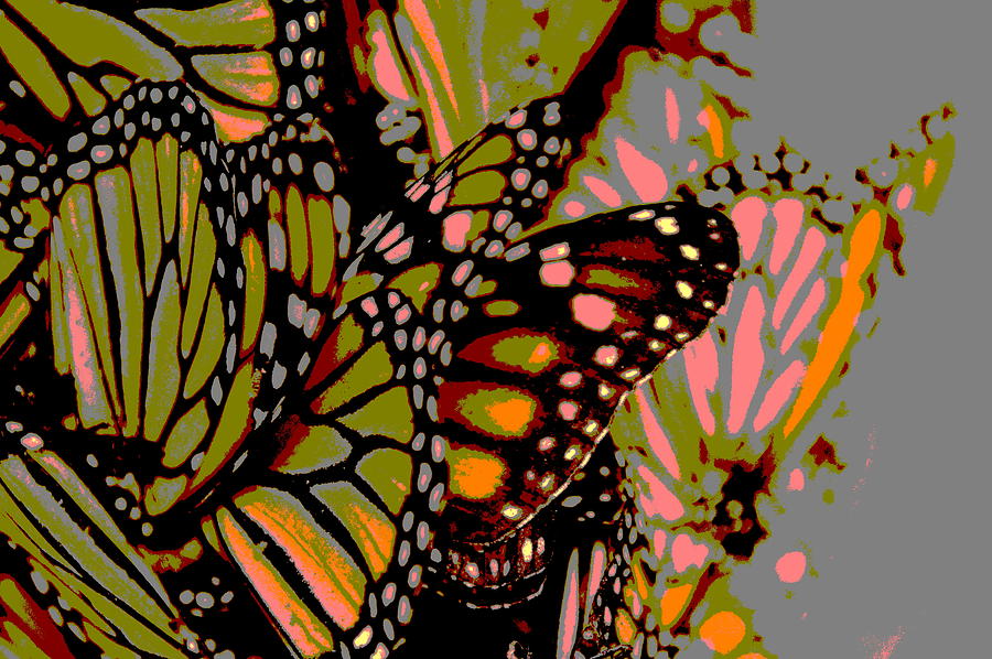 Butterflies Digital Art by Meganne Peck