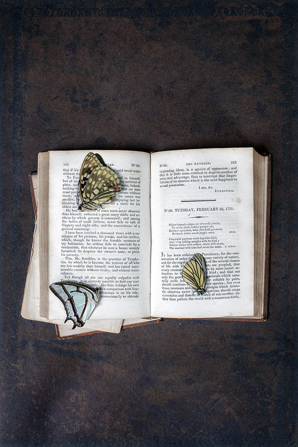 Vintage Photograph - Butterflies On Book by Joana Kruse