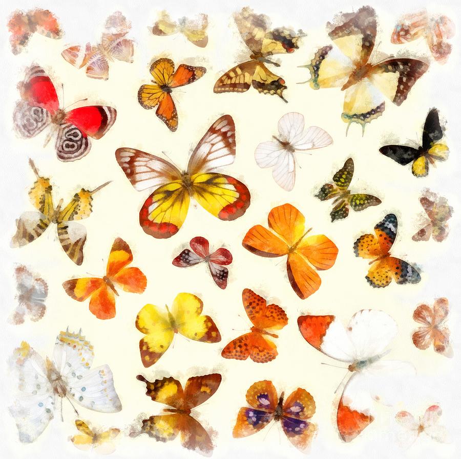 Butterflies Square Photograph by Edward Fielding