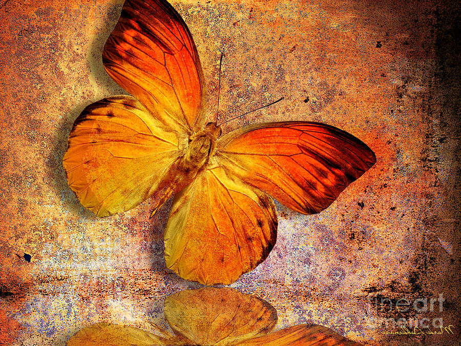 Butterfly Photograph - Butterfly 2 by Mark Ashkenazi