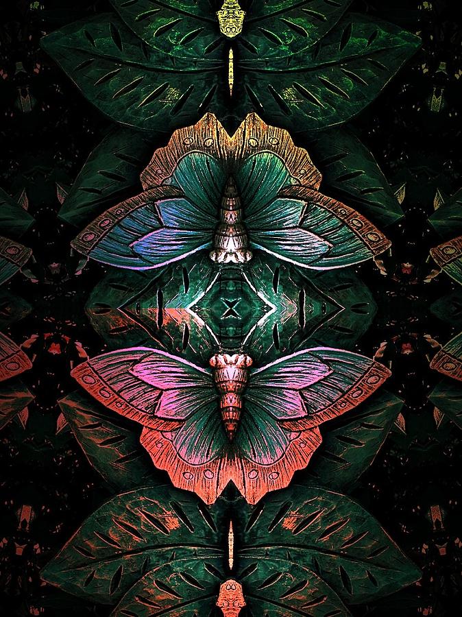 Butterfly Abstraction Photograph by Allen Beilschmidt