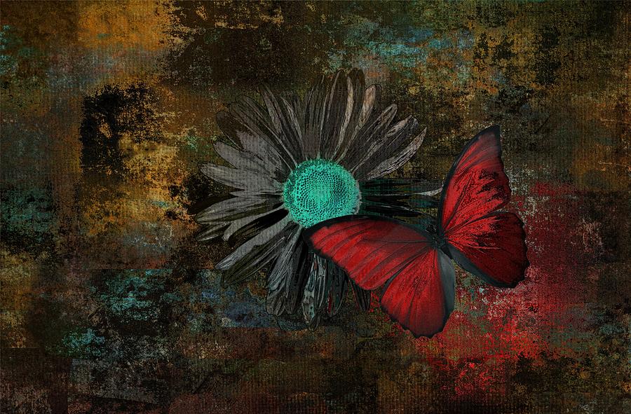 Daisy Digital Art - Butterfly and Daisy - 09at2b by Variance Collections