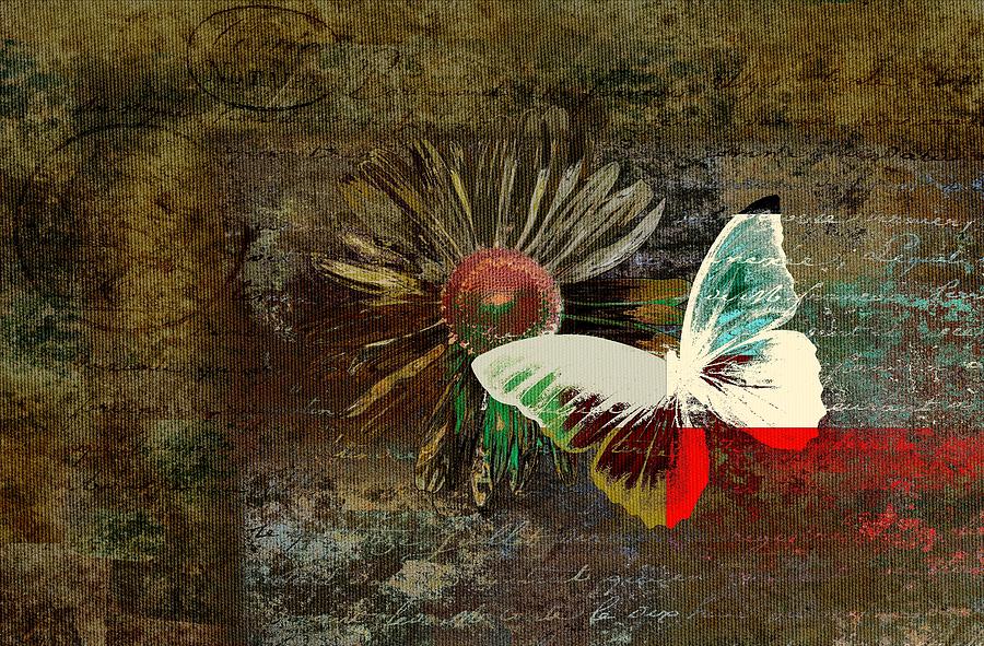 Daisy Digital Art - Butterfly and Daisy - m754bt by Variance Collections
