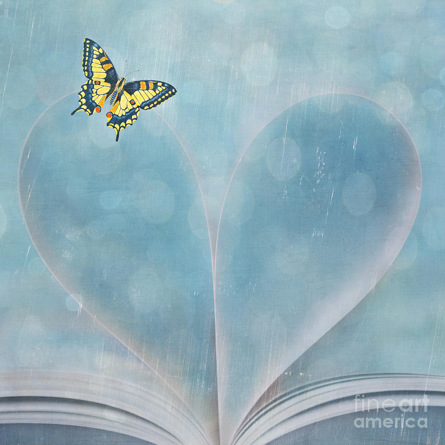 Butterfly and Heart-Shaped Book Pages Photograph by Susan Gary