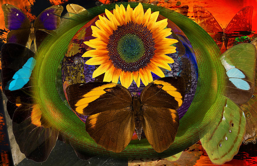 Butterfly And The Flower Digital Art