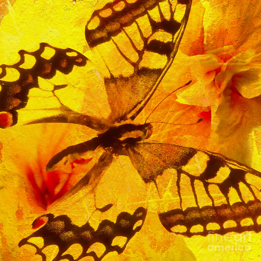 Butterfly And Yellow Hibiscus Digital Art by Olga Hamilton