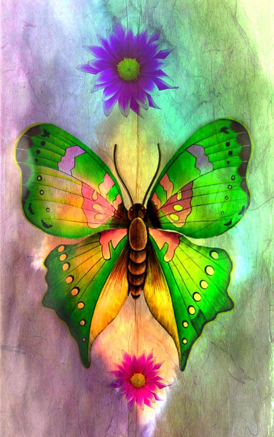 Butterfly Art 14-1 Digital Art by Maria Urso