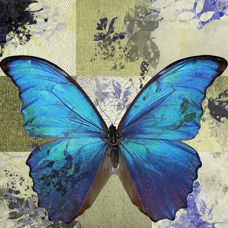 Butterfly Digital Art - Butterfly Art - s02b by Variance Collections