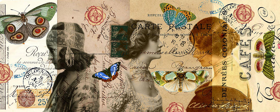 Paris Mixed Media - Butterfly Beauties by Sandy Lloyd