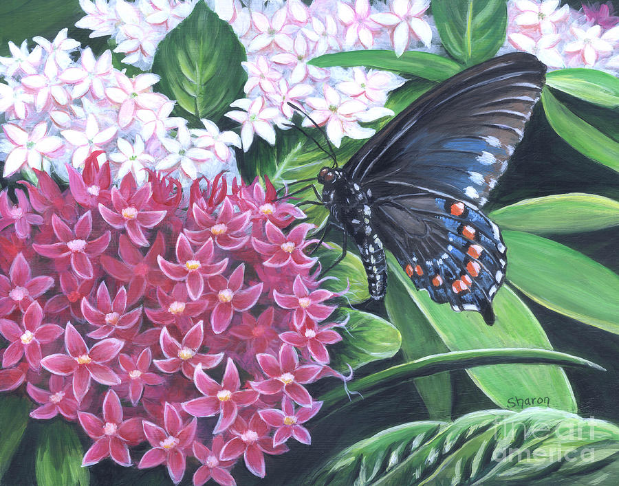 Butterfly - Beauty Painting by Sharon Molinaro