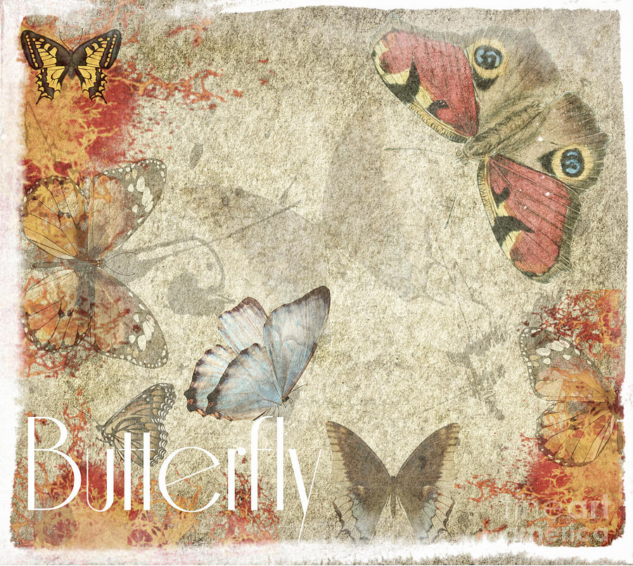 Butterfly Mixed Media by Binka Kirova