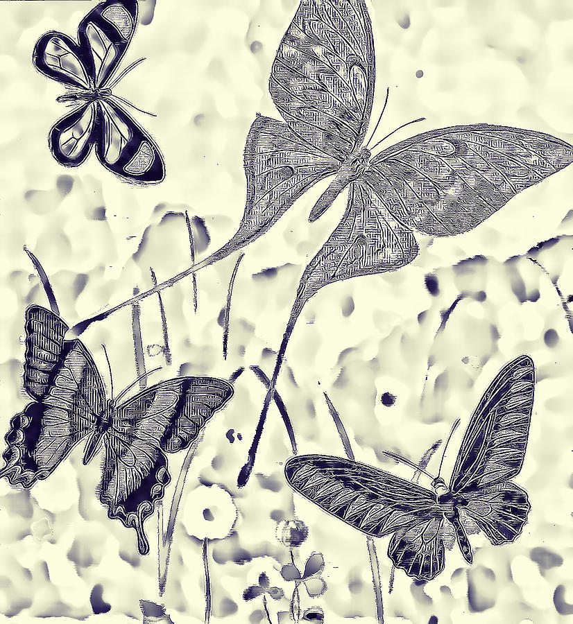 Butterfly Blueprint Digital Art by Beth Venner