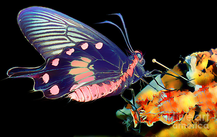 Butterfly Brushed in Water and Wind Digital Art by Wernher Krutein