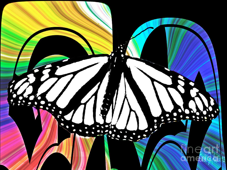 Butterfly Abstract Wall Art Decor Photograph by Carol F Austin