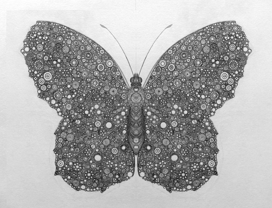 Butterfly Circle Bonanza Drawing by Harm Plat - Fine Art America