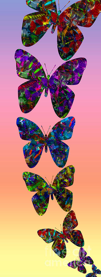 Butterfly collage IIII Photograph by Robert Meanor