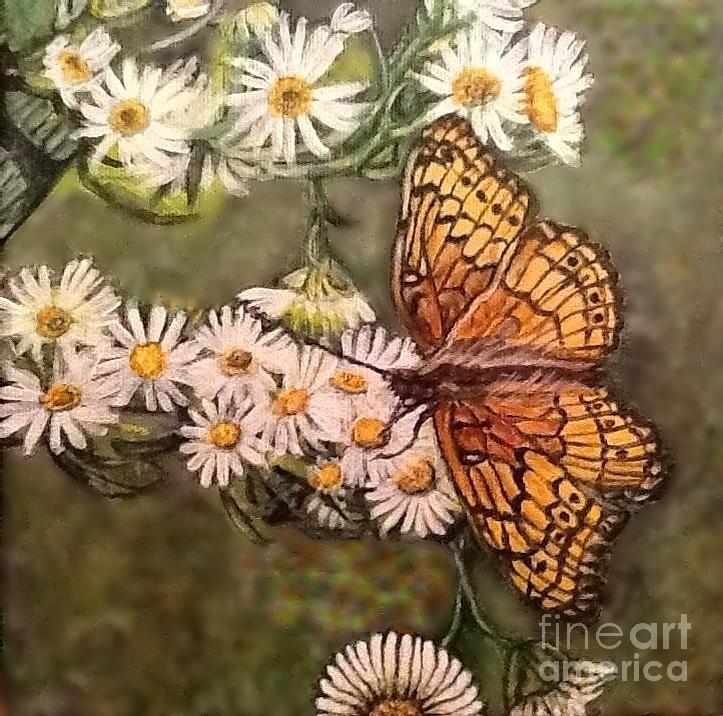 Butterfly Delight Mixed Media by Kimberlee Baxter