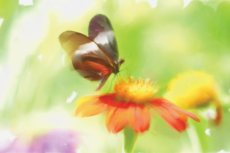 Butterfly Digital Painting Painting by Michelle Constantine