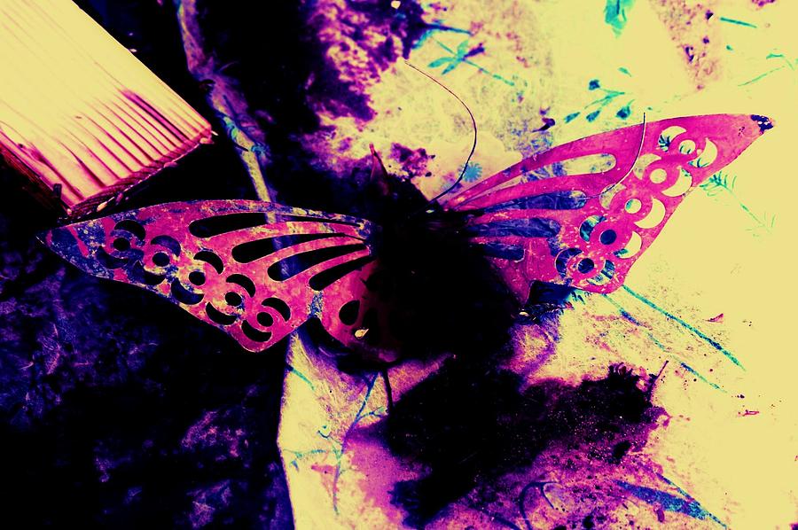 Butterfly disintegration  Photograph by Jessica S