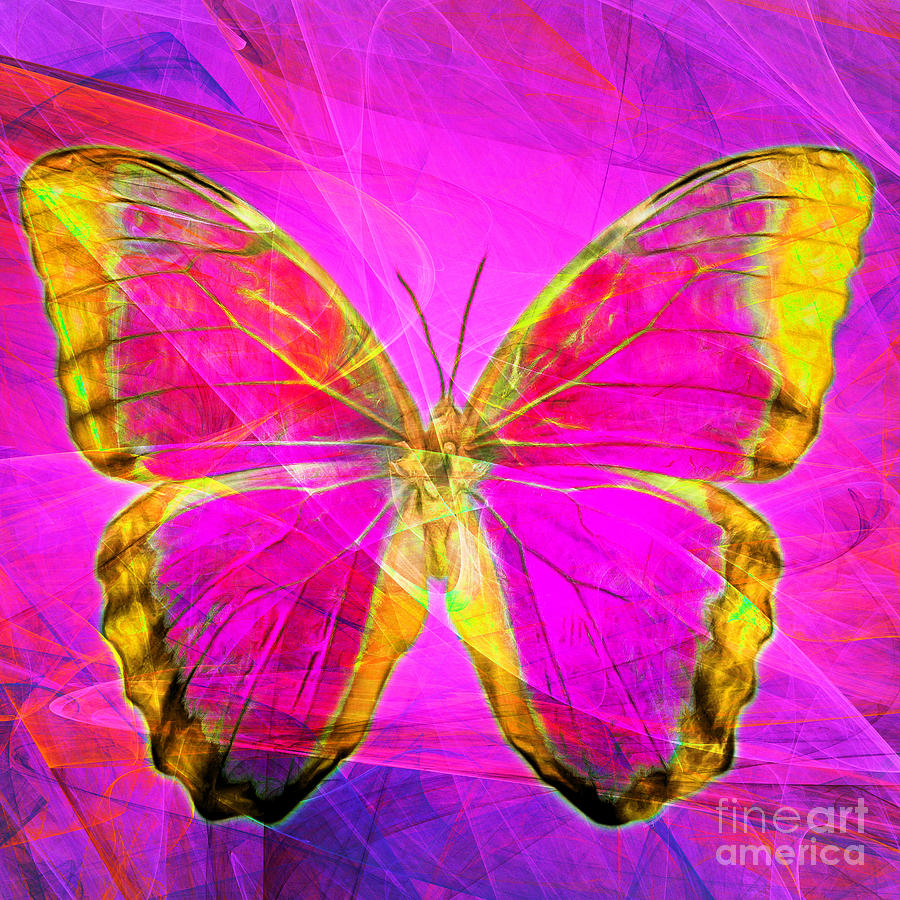 Butterfly DSC2969p120 square Photograph by Wingsdomain Art and Photography