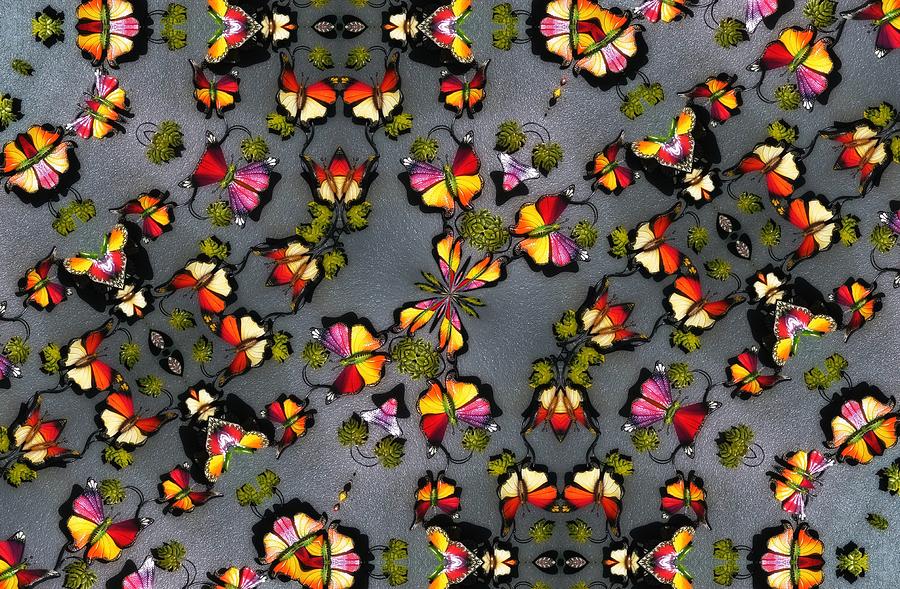 Butterfly Exodus Digital Art by Alec Drake