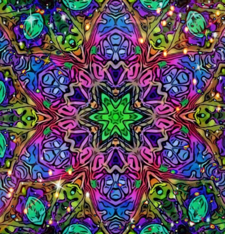 Butterfly Faces Mandala Digital Art by Karen Buford