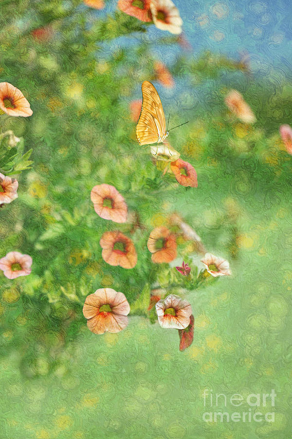 Butterfly Fantasy Digital Art by Susan Gary