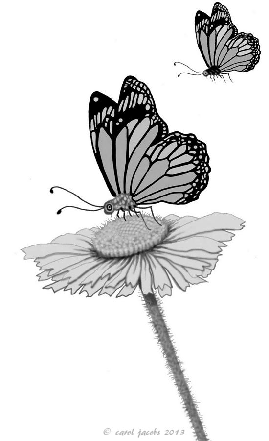 Butterfly Friends Digital Art by Carol Jacobs