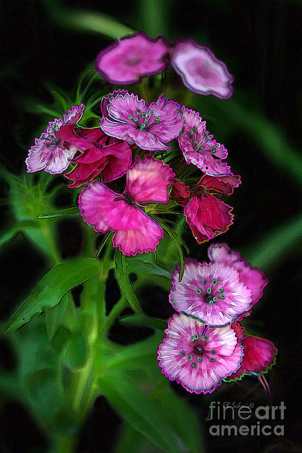 Butterfly Garden 02 - Carnations Digital Art by E B Schmidt