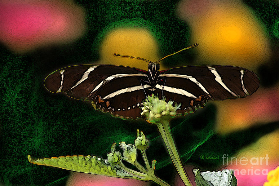 Butterfly Garden 06 - Zebra Heliconian Digital Art by E B Schmidt