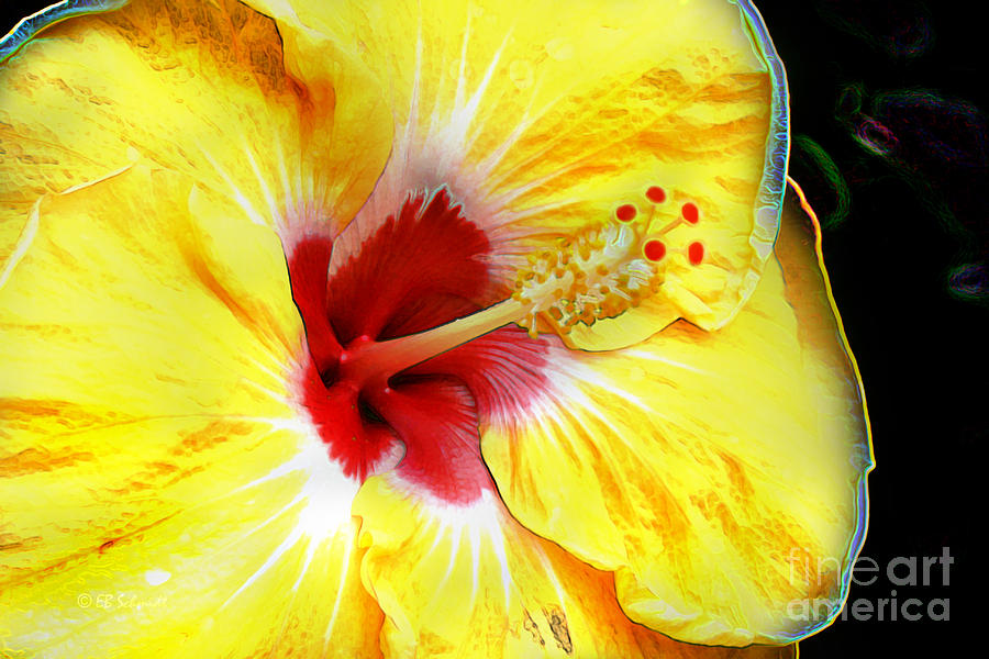 Flowers Still Life Digital Art - Butterfly Garden 07 - Hibiscus by E B Schmidt