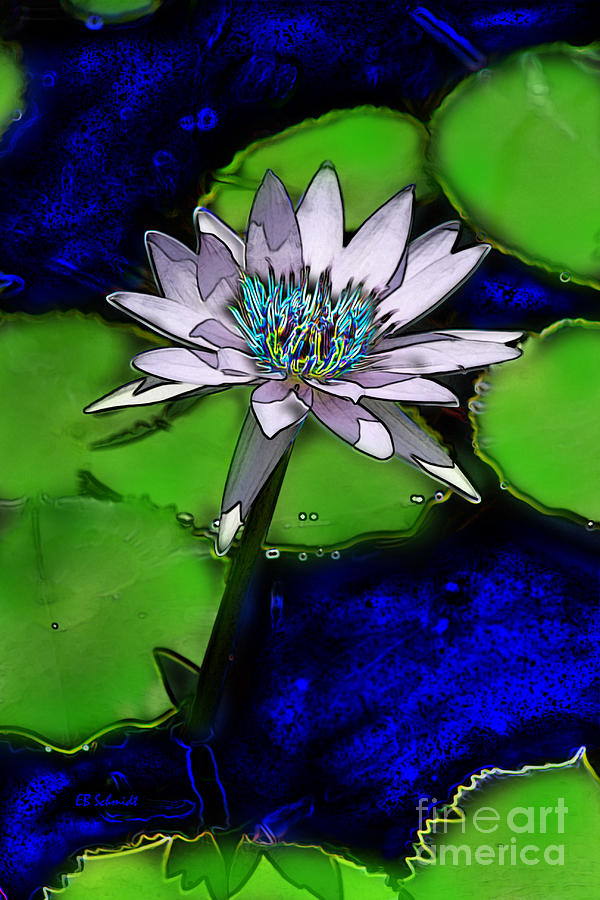Butterfly Garden 10 - Water Lily Digital Art by E B Schmidt