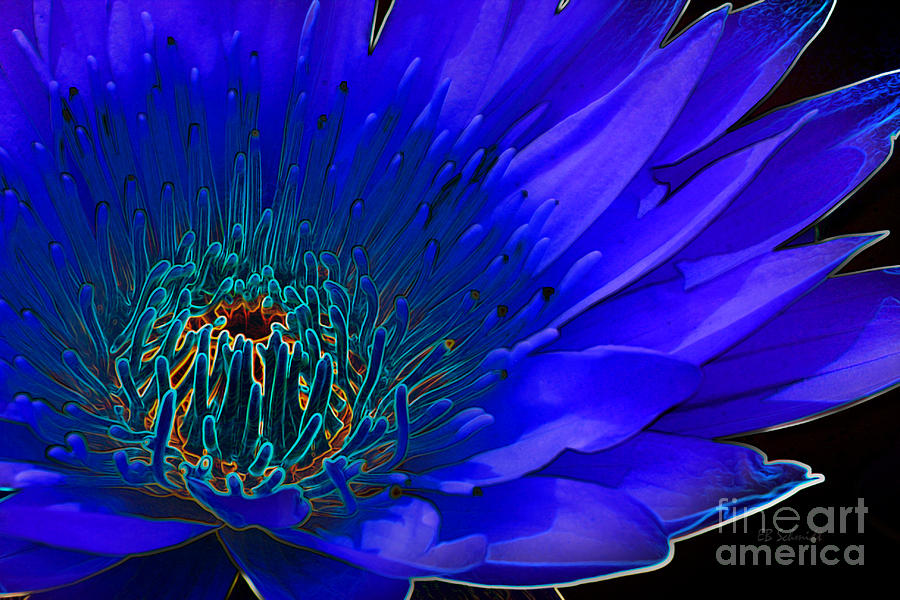 Flowers Still Life Digital Art - Butterfly Garden 11 - Water Lily by E B Schmidt