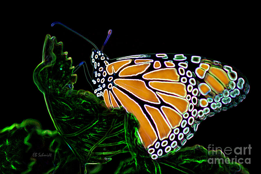 Butterfly Garden 12 - Monarch Digital Art by E B Schmidt