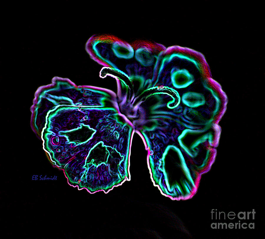 Flowers Still Life Digital Art - Butterfly Garden 18 - Carnation by E B Schmidt