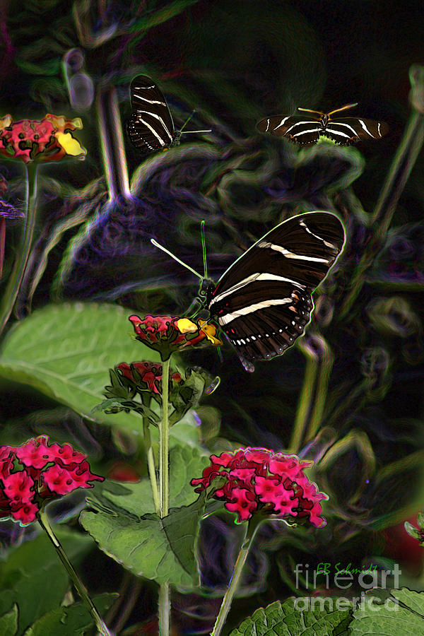 Butterfly Garden 19 - Zebra Heliconian Digital Art by E B Schmidt