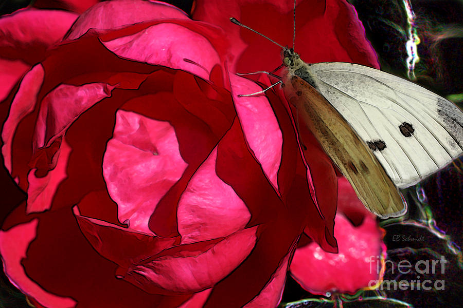 Butterfly Digital Art - Butterfly Garden 21 - Cabbage White by E B Schmidt